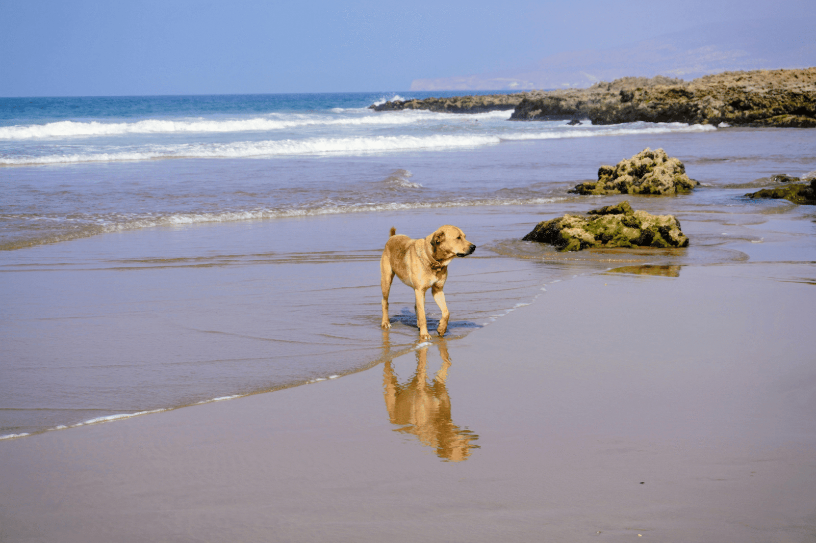 Building Strong Foundations: